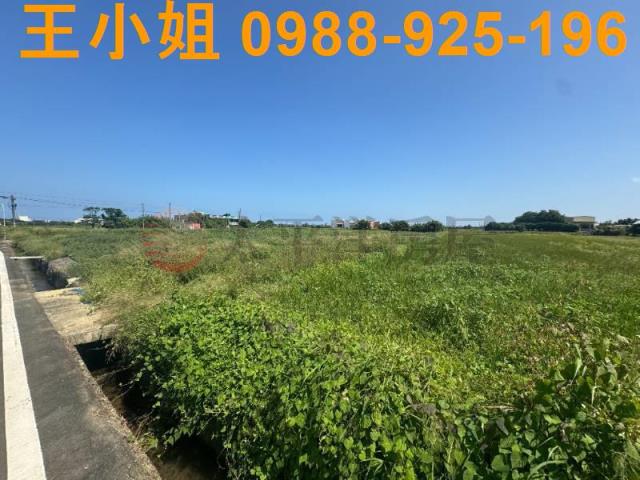 桃園觀音農地-12