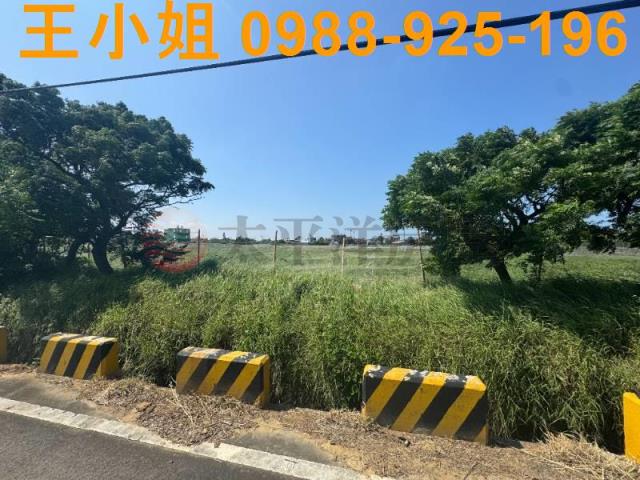 桃園觀音農地-13