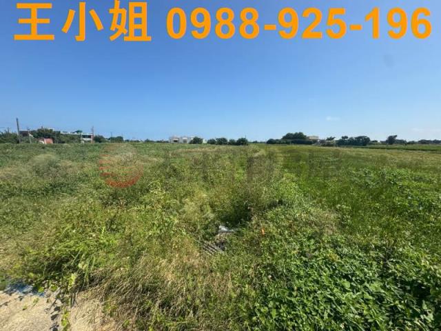 桃園觀音農地-14