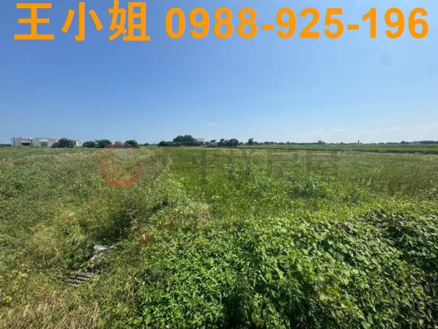 桃園觀音農地-15