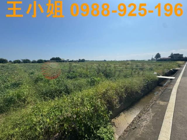 桃園觀音農地-7