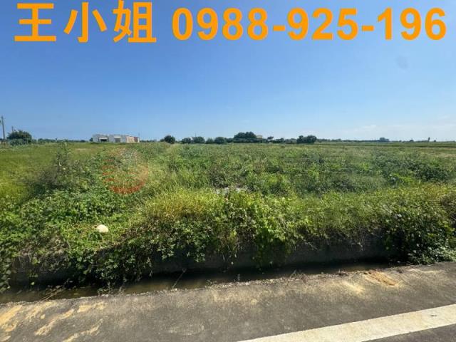 桃園觀音農地-8