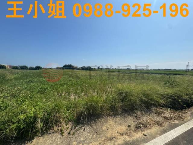 桃園觀音農地-9