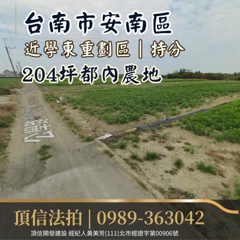 法拍台南安南近學東重劃區都內農地持分