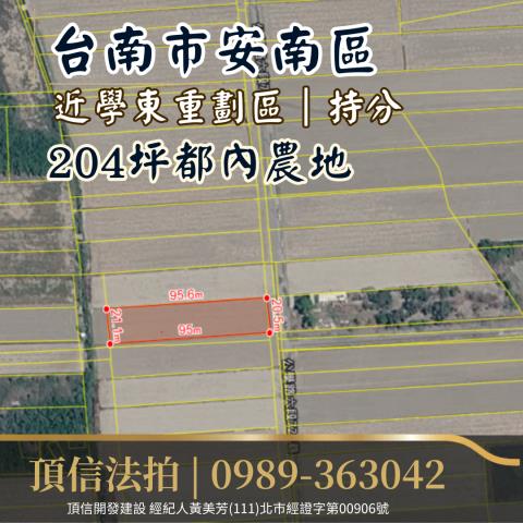 安南法拍農地-2