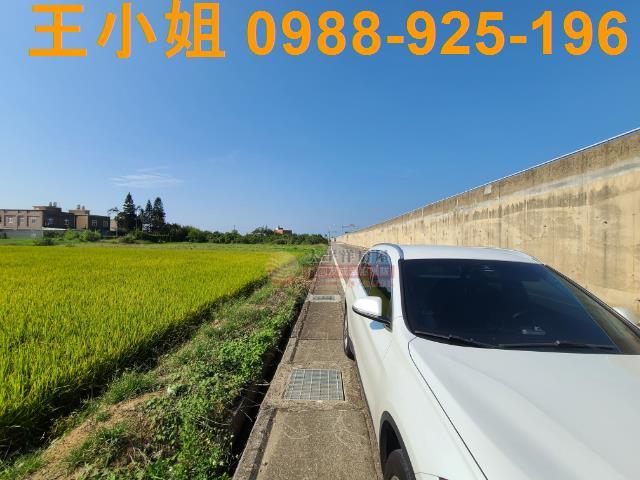 觀音農地-2