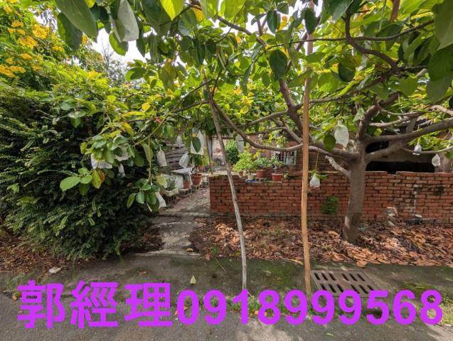 歸仁建地-7
