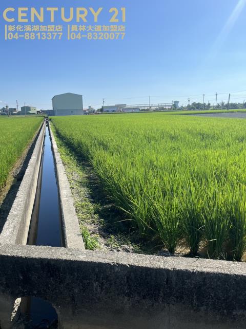 竹塘農地-1