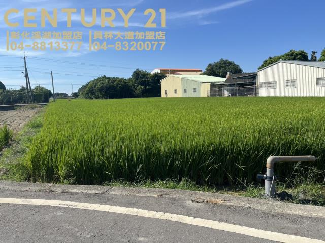 竹塘農地-4