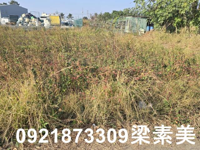 善化農地-2