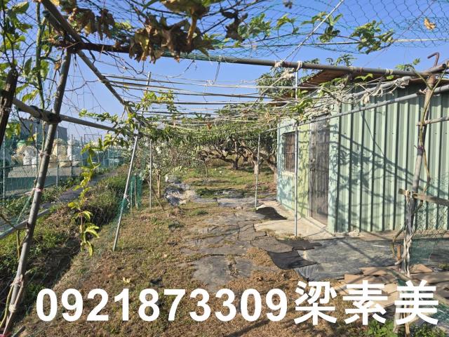 善化農地-5