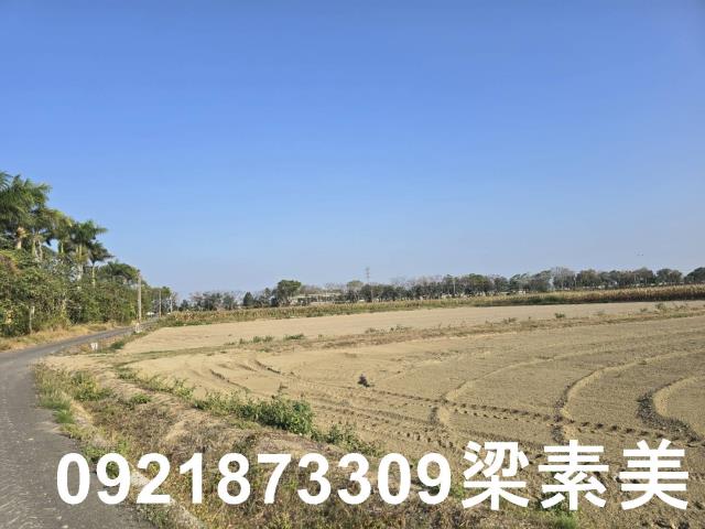 善化農地-8