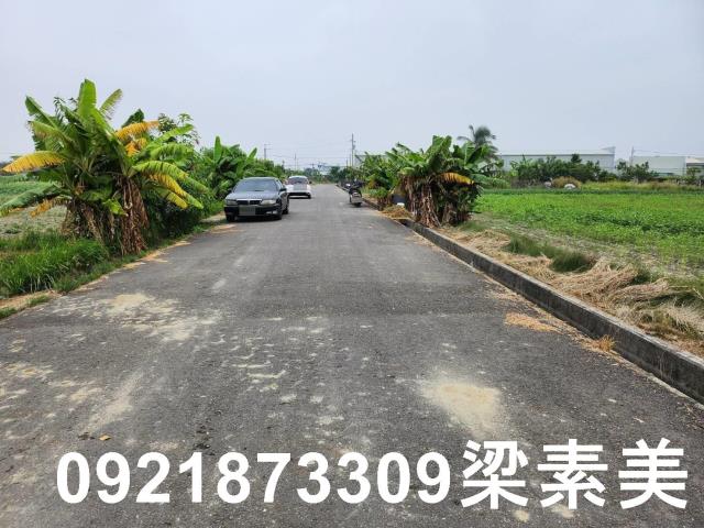 安定農地-1
