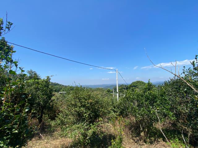 峨眉農地-3