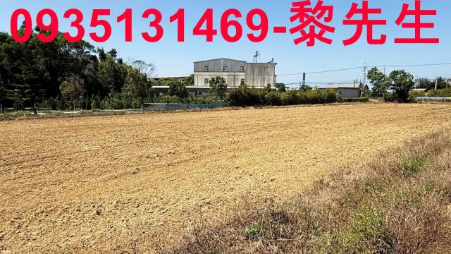 楊梅農地-10