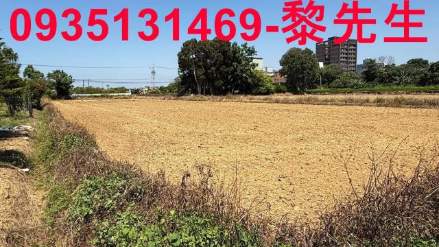 楊梅農地-5
