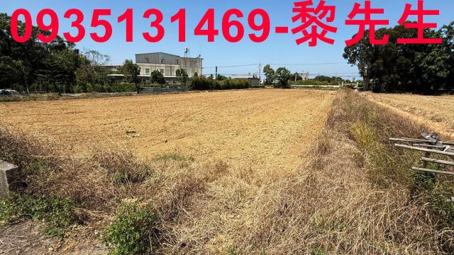 楊梅農地-6