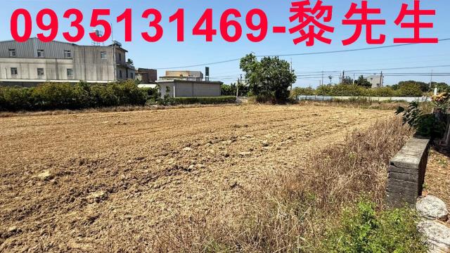 楊梅農地-9