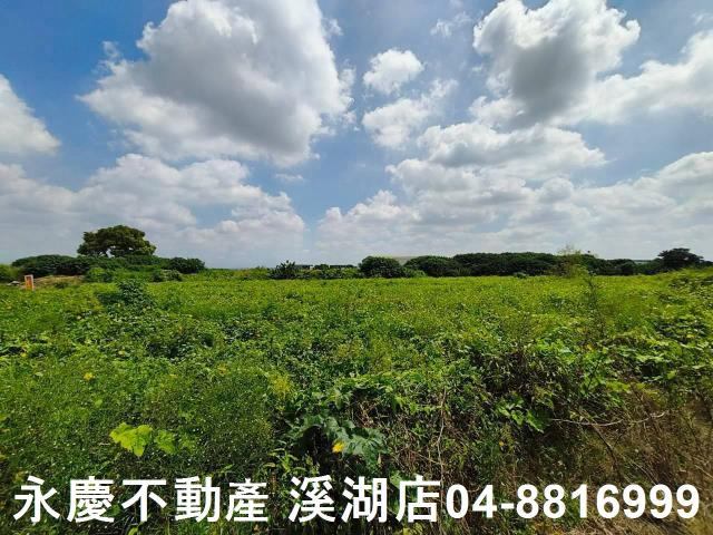 秀水農地-10