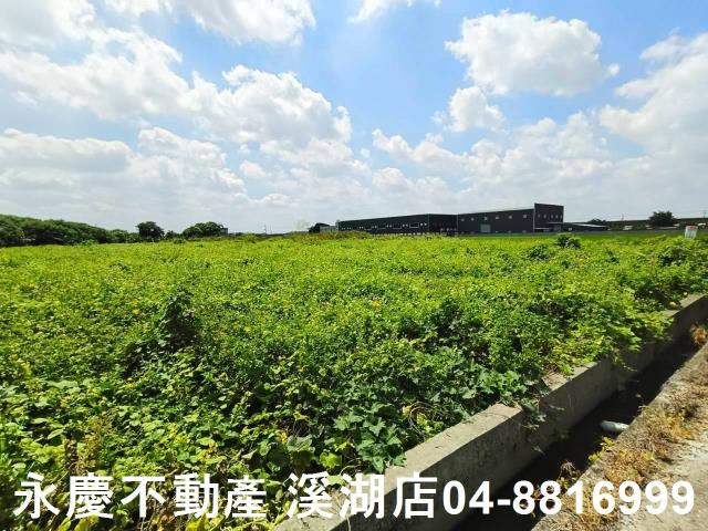 秀水農地-4