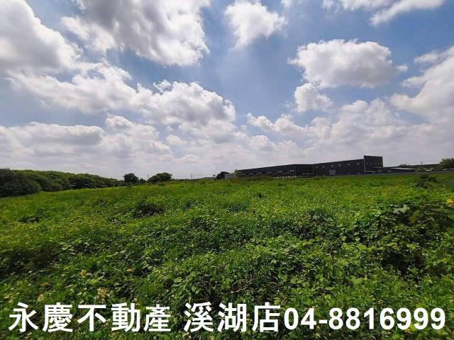 秀水農地-5