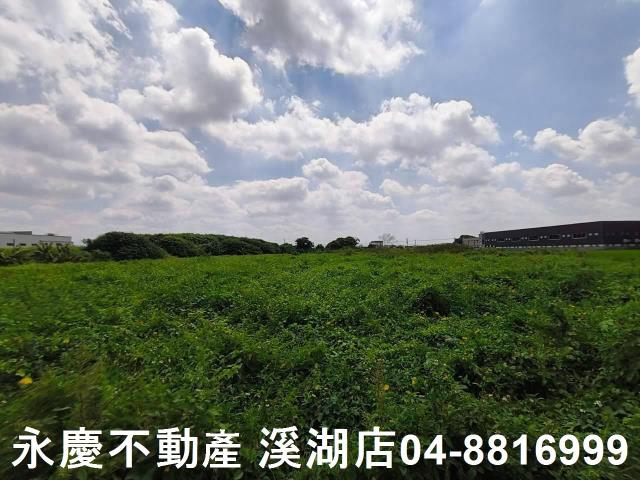 秀水農地-7
