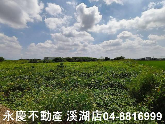 秀水農地-8