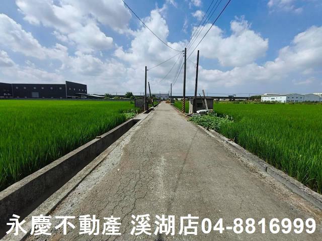 秀水農地-9