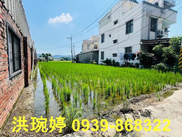 台中農地_建地-6