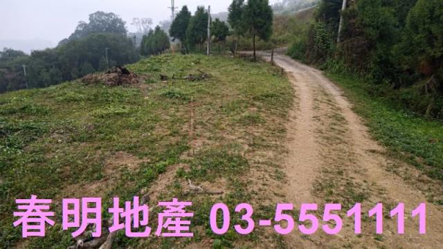 苗栗道路地-2