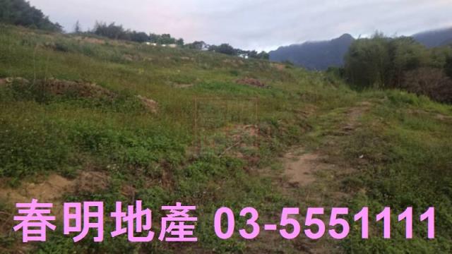 苗栗道路地-4