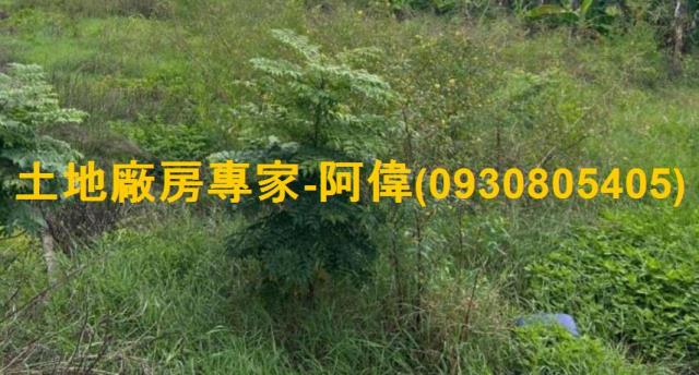 高雄農地-1