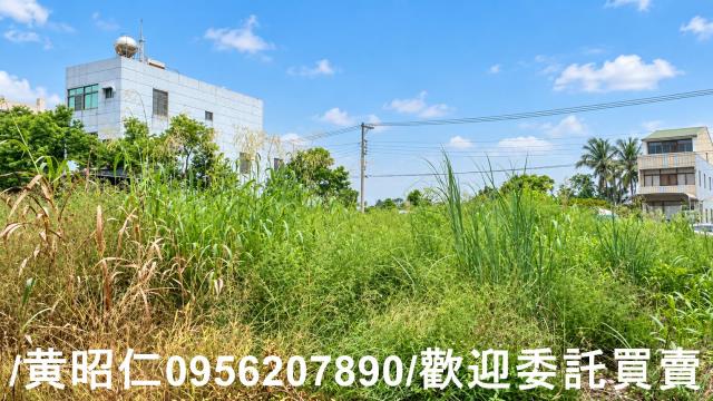 台南官田建地-6