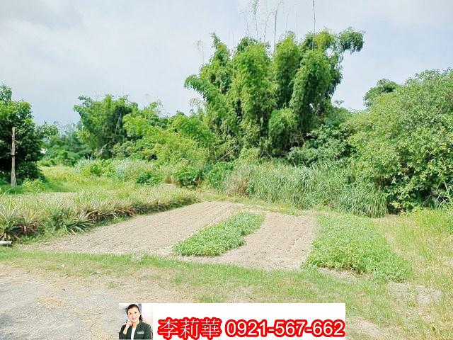 台南歸仁農地-3