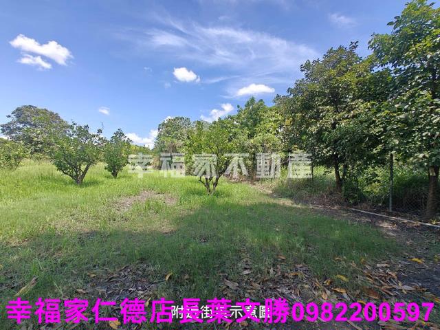 台南麻豆農地-15
