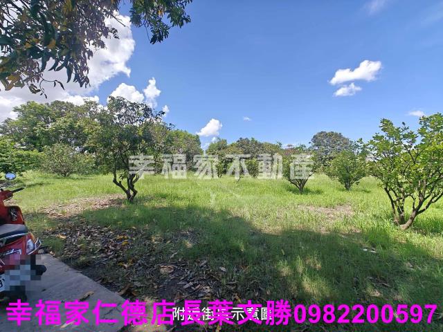 台南麻豆農地-3