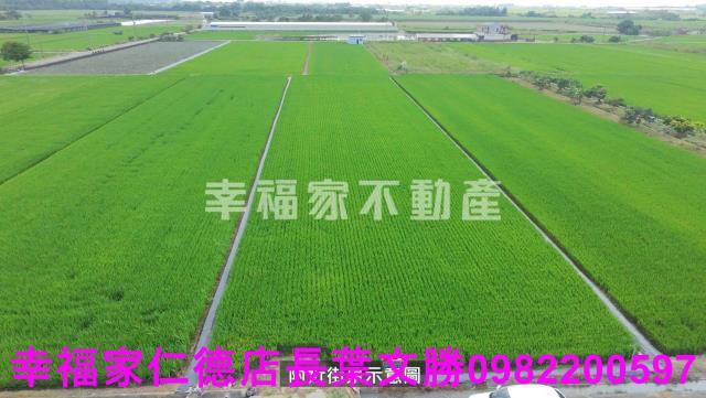 台南柳營農地-9