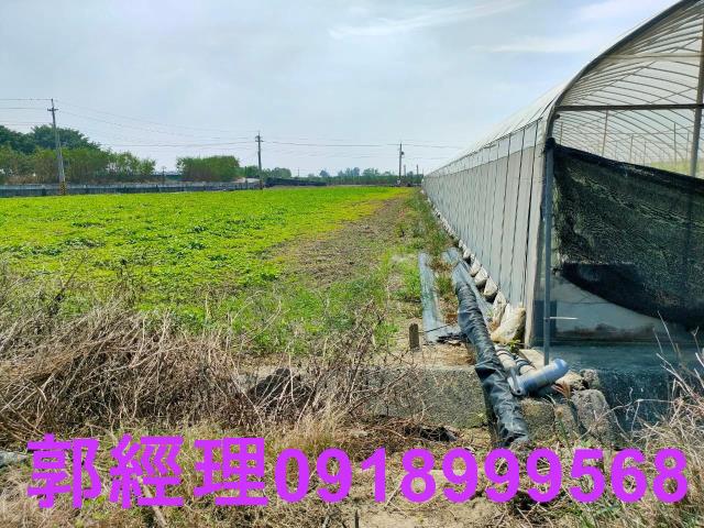 嘉義六腳農地-6