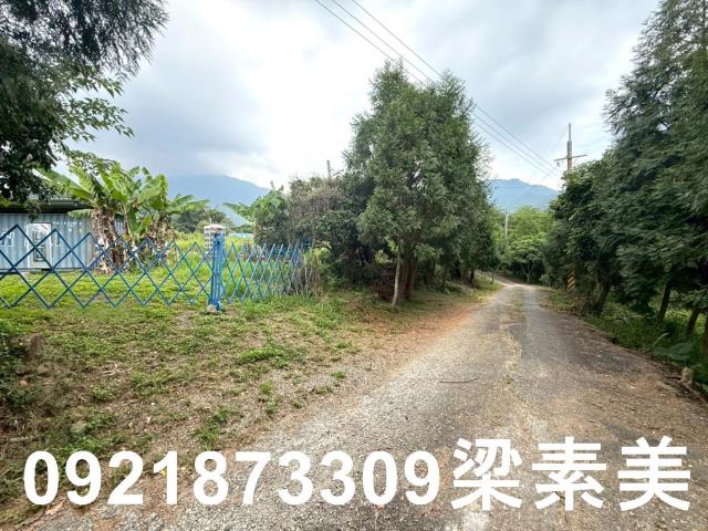 台南東山農地-2