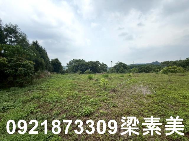 台南東山農地-6