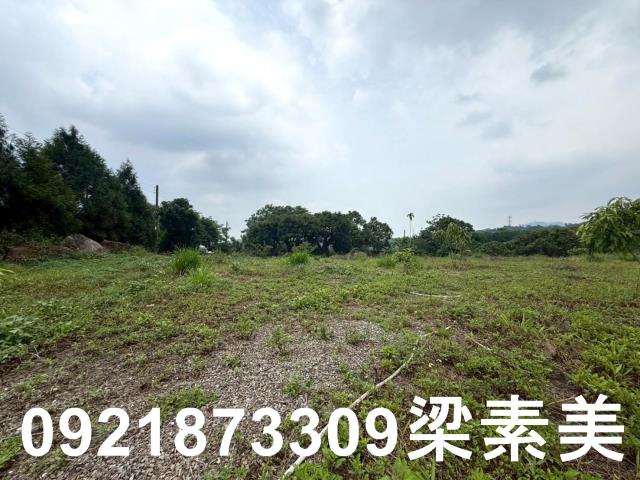 台南東山農地-7