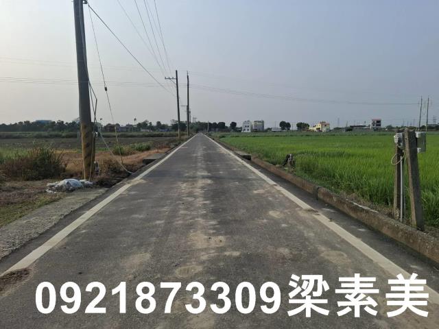 台南善化農地-4