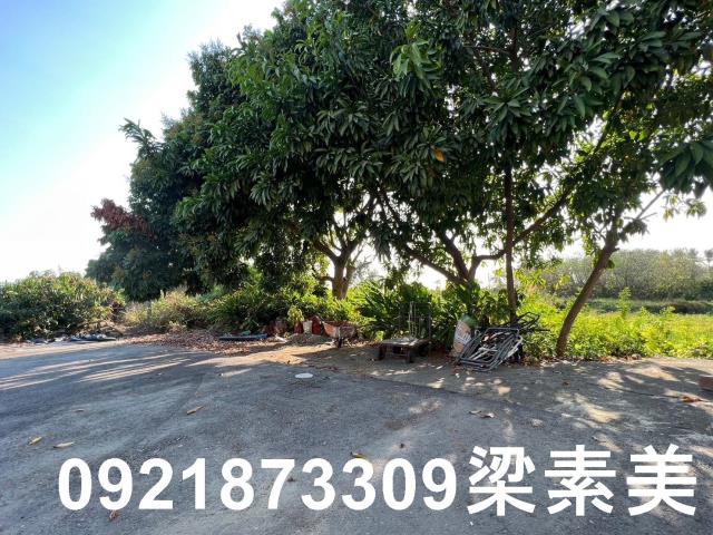 台南新市農地_建地-3
