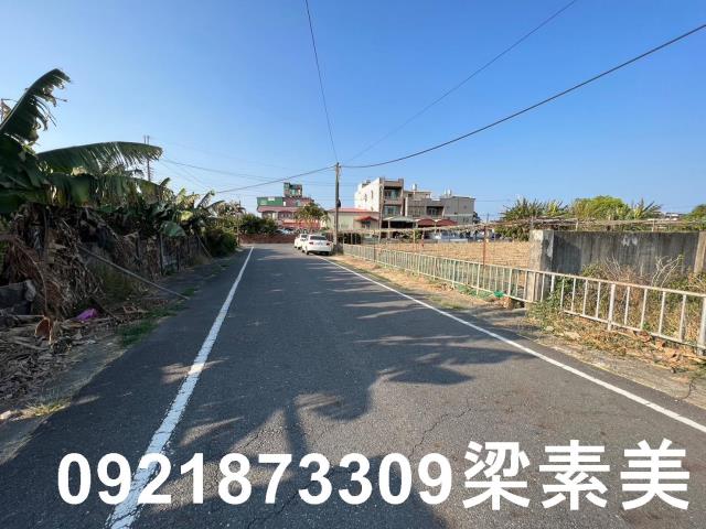 台南新市農地_建地-6