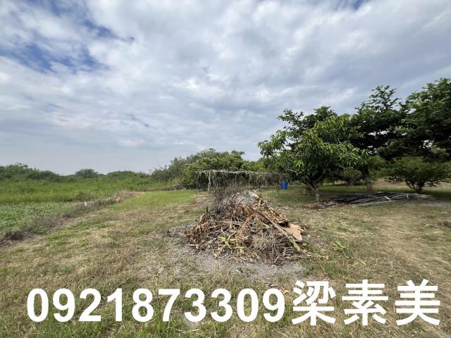 安南農地-4