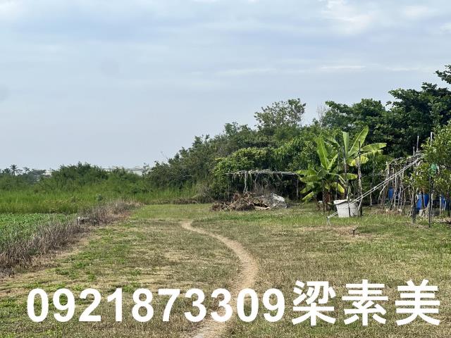 安南農地-6