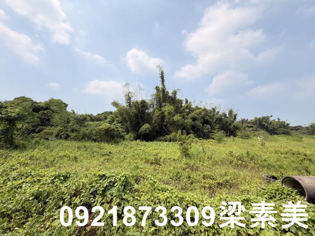 歸仁農地-6