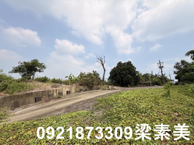 歸仁農地-8