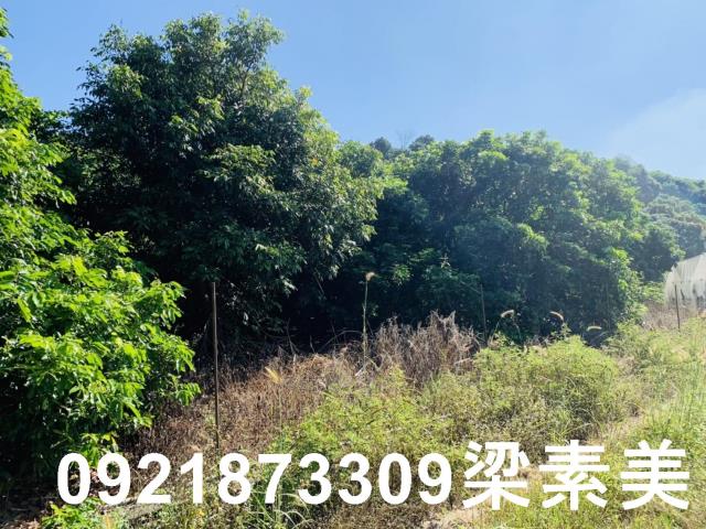 楠西農地-13
