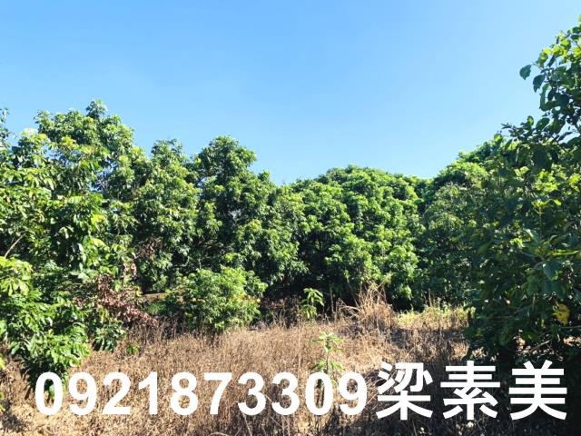 楠西農地-8